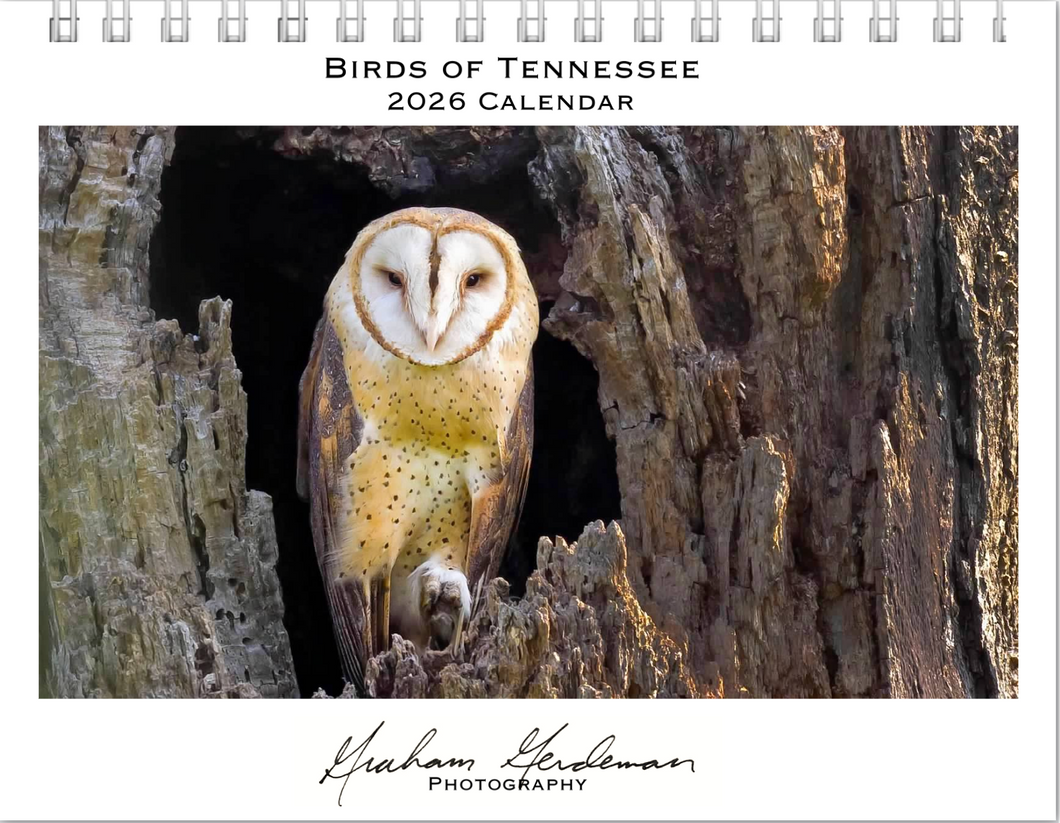 2026 Birds of Tennessee Calendar by Graham Gerdeman