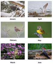 Load image into Gallery viewer, 2026 Birds of Tennessee Calendar by Graham Gerdeman
