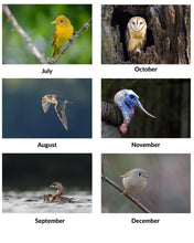 Load image into Gallery viewer, 2026 Birds of Tennessee Calendar by Graham Gerdeman
