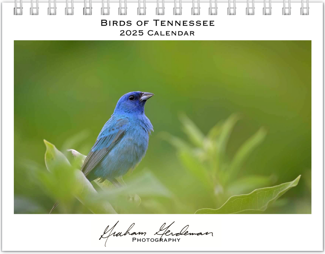 2025 Birds of Tennessee Calendar by Graham Gerdeman