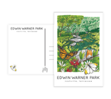 Load image into Gallery viewer, Edwin Warner Park Postcard
