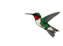 Load image into Gallery viewer, Adopt-A-Hummingbird
