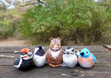 Load image into Gallery viewer, Plush Birds
